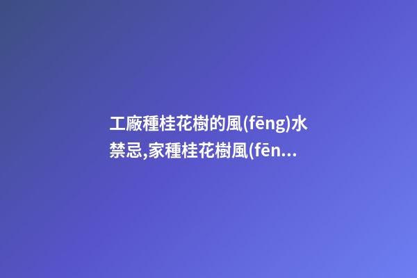 工廠種桂花樹的風(fēng)水禁忌,家種桂花樹風(fēng)水好還是不好？